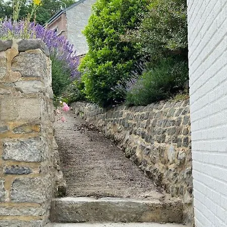 Maison Comtale * Rochefort