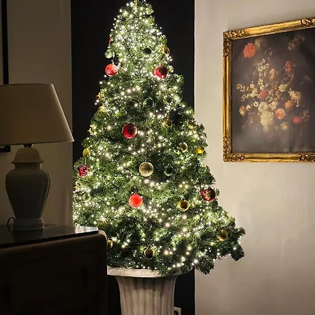 Maison Comtale * Rochefort