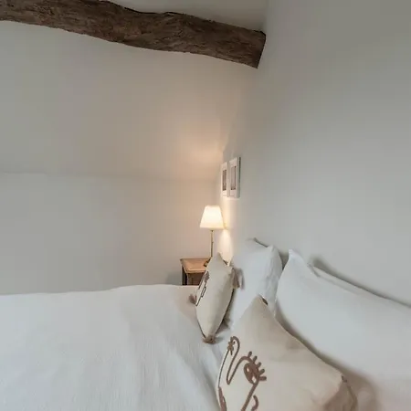 Maison Comtale Holiday home