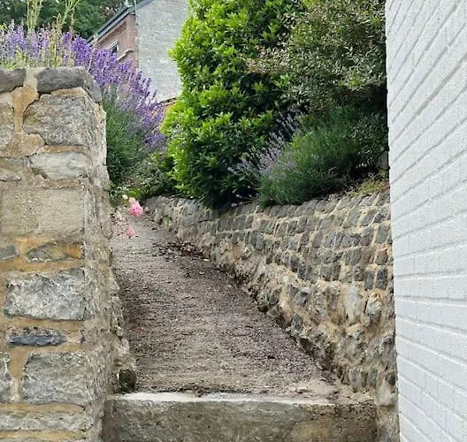 Maison Comtale * Rochefort