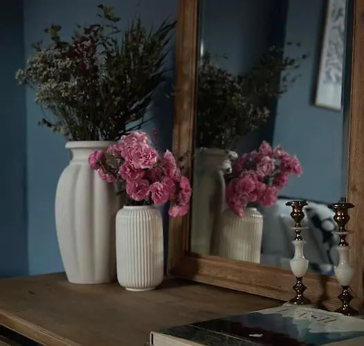 Maison Comtale Hébergement de vacances