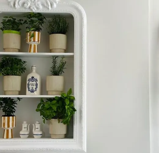 Hébergement de vacances Maison Comtale *