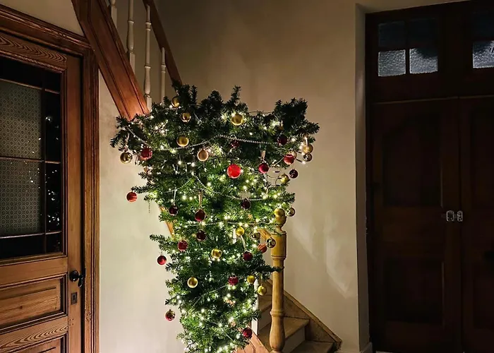 Hébergement de vacances Maison Comtale Rochefort