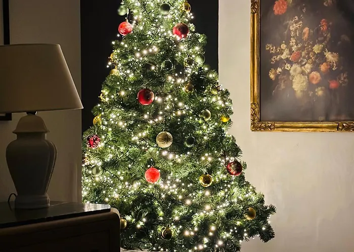 Maison Comtale * Rochefort