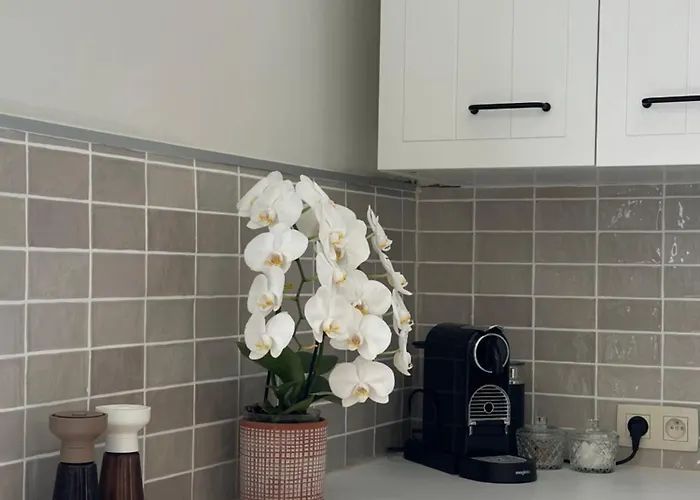 Maison Comtale Hébergement de vacances *